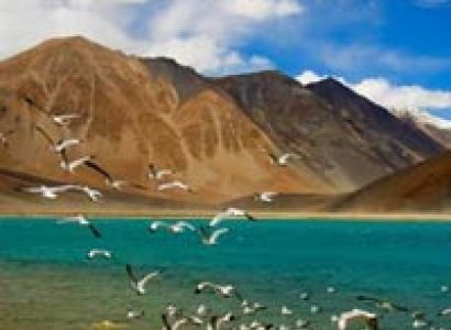 Leh Tour package