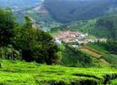 Bangalore Ooty Mysore Package