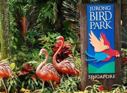 Malaysia - Singapore with Universal Studio Package