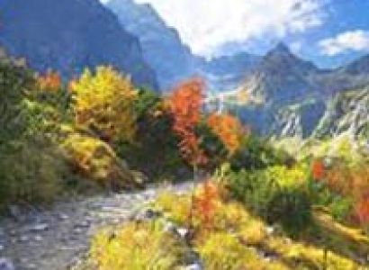 Beautiful Kashmir Tour