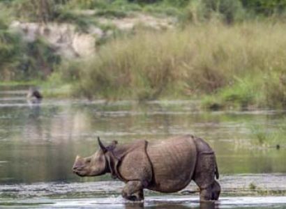 Assam with Kaziranga Tour