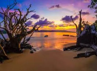 Packages in Havelock