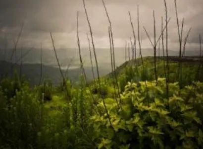 Beautiful Shillong with Guwahati Tour