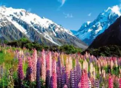 Charming New Zealand Tour