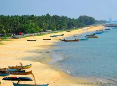 Wayanad With Kappad Beach 3 Days