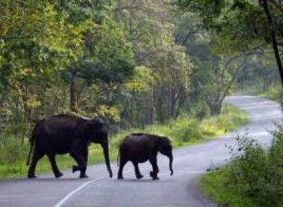 6 Day Trip From Bangalore - Ooty - Wayanad - Nagarhole
