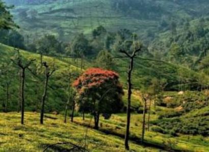 Mysore Ooty Coonur Kodaikanal 4 Night 5 Days