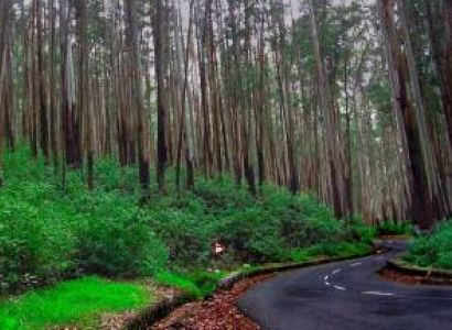 Madurai Kodaikanal Rameshwaram 5 Night 6 Days