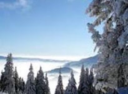 Magnificent Shimla Manali Tour