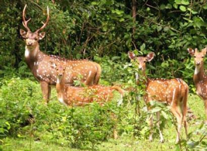 Majestic Touch of North East Tour