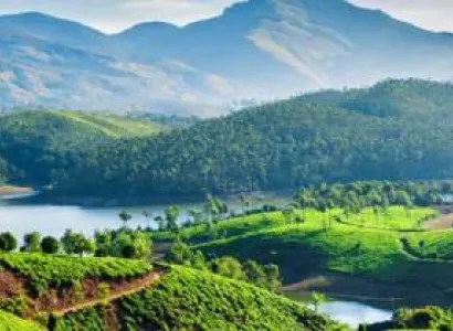 Thekkady Tour Packages