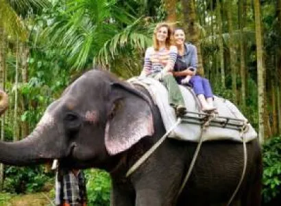 Thekkady Tour Packages