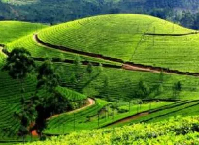 Thekkady Tour Packages