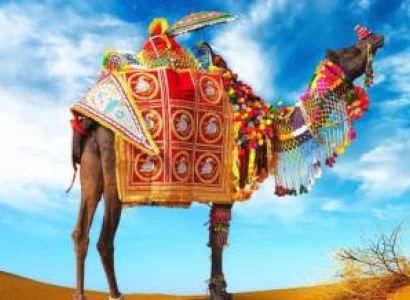 Rajasthan Cultural Tour