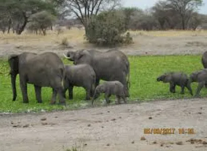 Wildlife Tour 10 Days Tour