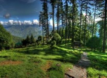 Yumthang Tour Packages