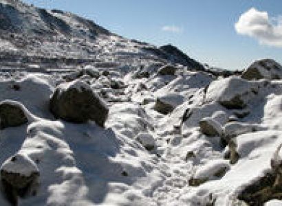 Yumthang Tour Packages