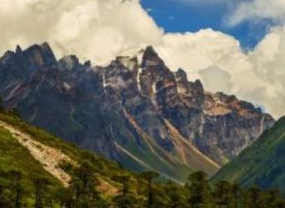 Pelling Tour Packages