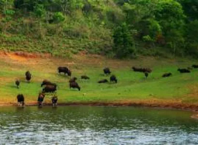 Exciting Weekend Trip 3 Days