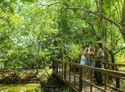 Experience Wayanad with CGH  Tour