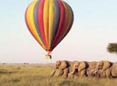 Migration Itinerary Tour