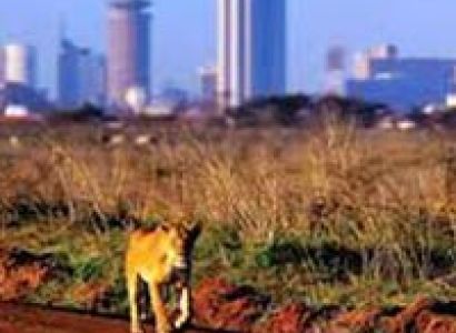 Cradle Of Mankind Tour