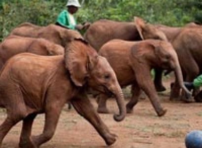 Golfing Itinerary Tour