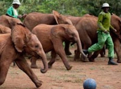 Golfing Itinerary Tour