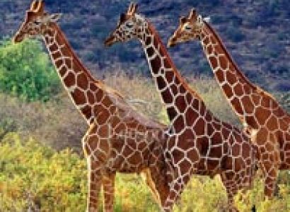 Northern Circuit Itinerary Tour