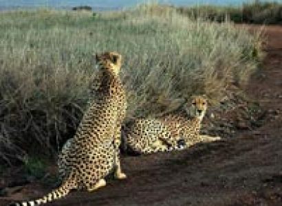 Northern Circuit Itinerary Tour