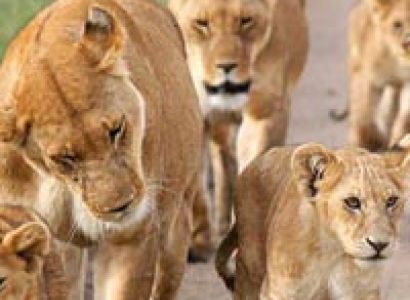 Northern Circuit Itinerary Tour