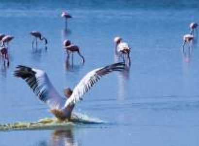 2 Days Lake Magadi Adventure Tour