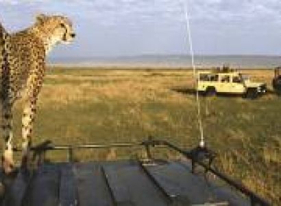 4 Days Maasai Mara And Lake Nakuru Safari Tour