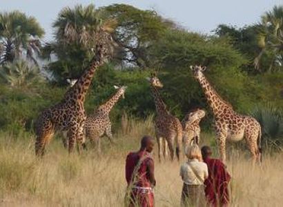 Packages in Ngorongoro