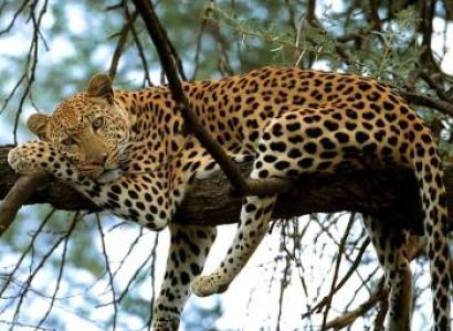 15 Days Northern Circuit Special Tour