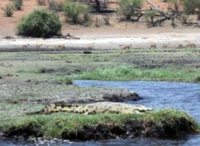 Best Of Western Tanzania - Katavi And Mahale 8 Days Tour