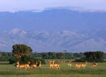 Flying Safari Bwindi 4 Days Tour