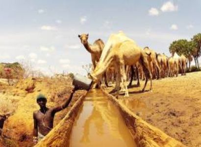 Cradle Of Mankind 19N - 20D Tour