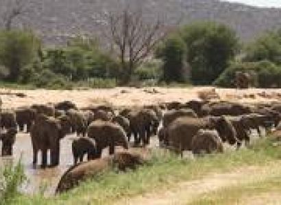 Popular Kenya Safari 6 Night - 7 Days Tour