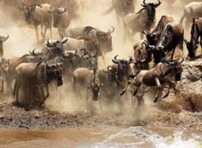 2 Night 3 Days Maasai Mara At Sarova Mara Tour