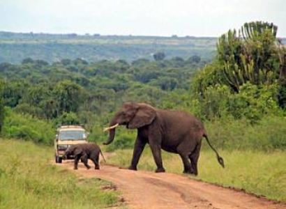 1 Day Shimba Hills National Park Tour