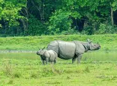 WILDLIFE SPECIAL TOUR