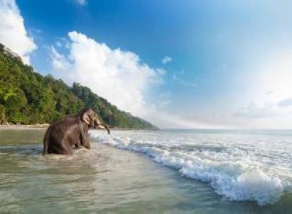 Packages in Baratang Island