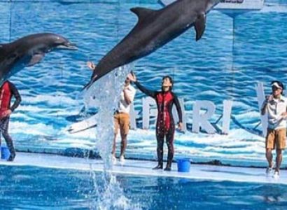 Thailand Surprise Tour