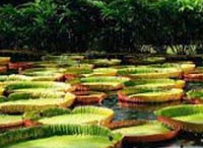 Mesmerizing Mauritius Tour