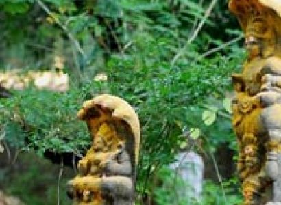 Guwahati Shillong Tour