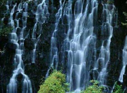 Exotic Meghalaya Tour