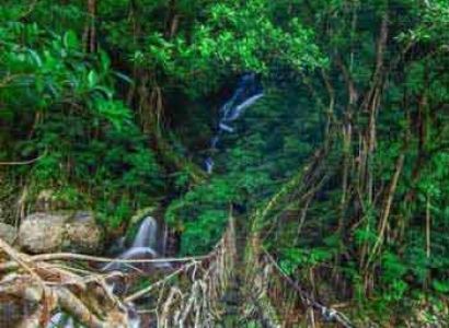 Exclusive Meghalaya Tour 7 Nights 8 Days