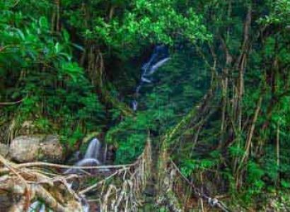 Exclusive Meghalaya Tour 7 Nights 8 Days