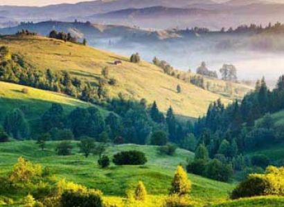 Exclusive Meghalaya Tour 7 Nights 8 Days